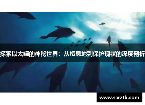 探索以太鳐的神秘世界：从栖息地到保护现状的深度剖析